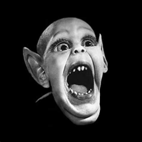 weird profile pictures wallpaperscom