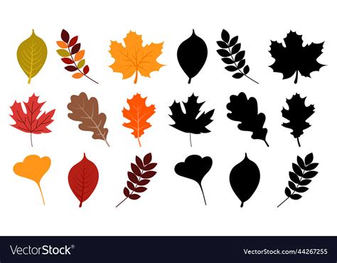 Set of autumn leaves Royalty Free Vector Image