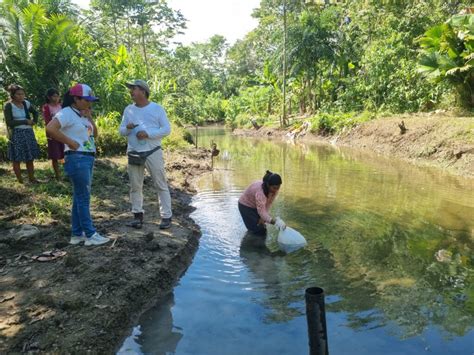 Entregamos 20 mil alevines a los productores piscícolas de las