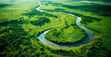 panoramic top view   winding river surrounded  dense forest