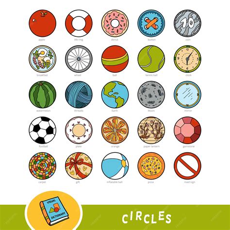 Premium Vector Colorful Set Of Circle Shape Objects Visual Dictionary