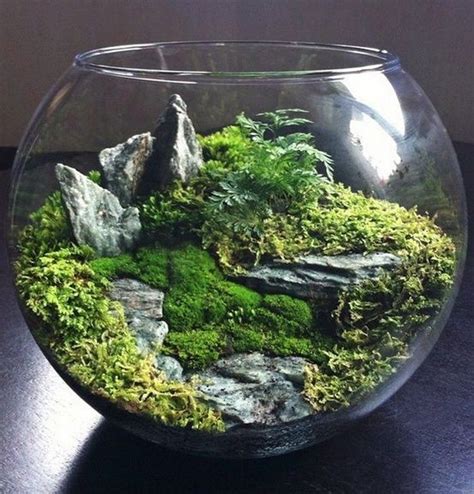 15 Creative Modern And Unique Glass Terrarium Ideas For Plant And Reptiles