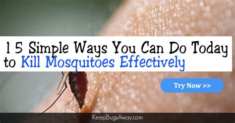 How To Kill Mosquitoes Top 15 Easy Ways To Get Rid Of Mosquitoes