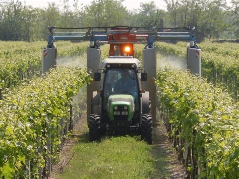 L Arcobaleno Tra I Filari Vvq Vigne Vini Qualit