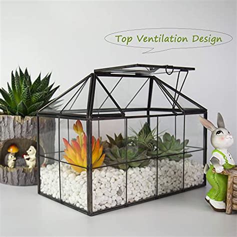 Large Glass Plant Terrarium House Succulent Glass House Terrarium