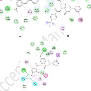 Interactions Of A Fluoro O Benzoylpinostrobin B T Butyl O