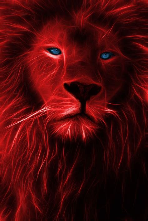 León Rojo Lion Live Wallpaper Animal Wallpaper Lion Images Lion