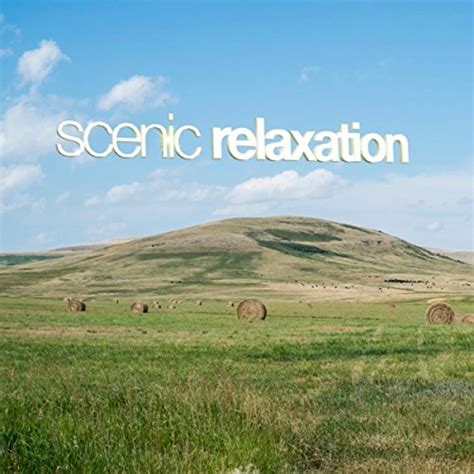 Play Scenic Relaxation by Forest Sounds on Amazon Music