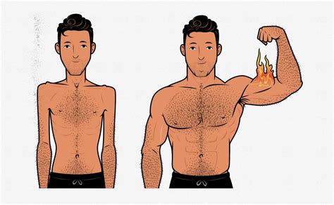 Muscle Building Creatine Before And After 4 Weeks The Muscle Building