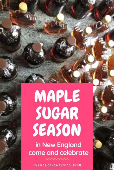 Celebrating The Maple Sugaring Season In New England New England