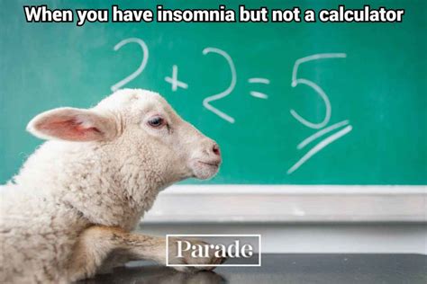 50 Math Memes That Are Funny And Relatable Parade