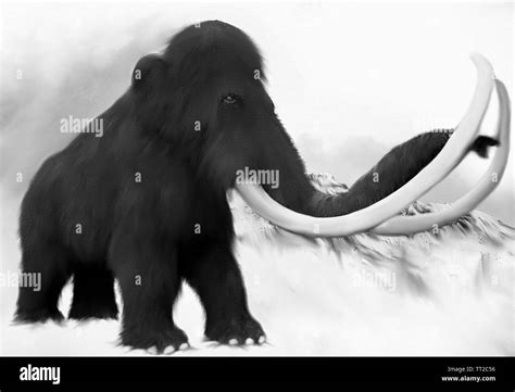 Mammoth in the ice age - Artistic painting of an Ice Age Mammoth near ...