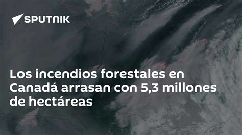 Los Incendios Forestales En Canadá Arrasan Con 5 3 Millones De