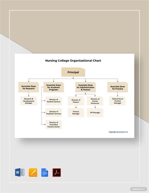 Nursing Home Organizational Structure Chart