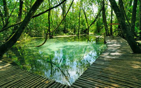 Quatro Destinos Para Desbravar O Ecoturismo No Estado De S O Paulo