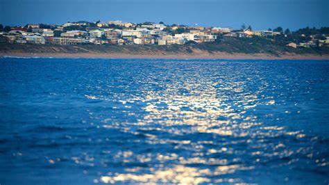 Victor Harbor Turismo Qu Visitar En Victor Harbor Australia