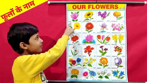 Flowers Name In Hindi And English Chart | Best Flower Site