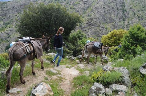 Eselwandern Archive Wandern Mit Kindern