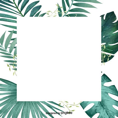 Tropical Palm Leaf White Transparent Green Little Refreshing Tropical