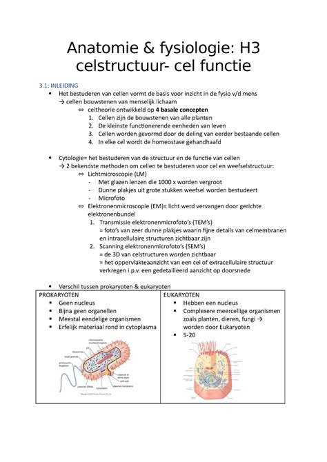 Samenvatting A F Anatomie Fysiologie H Celstructuur Cel Functie 3