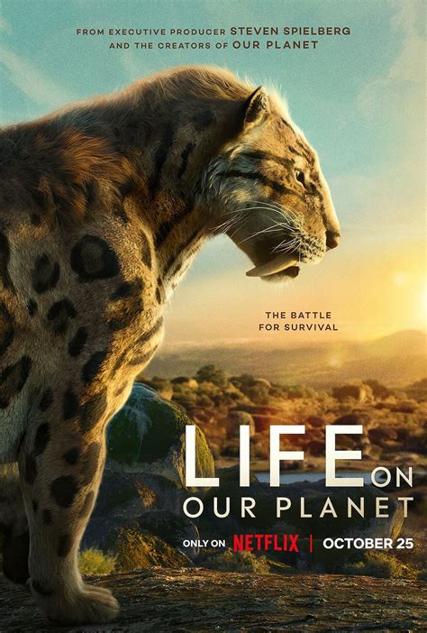 Life On Our Planet On Netflix Release Date Trailer And More