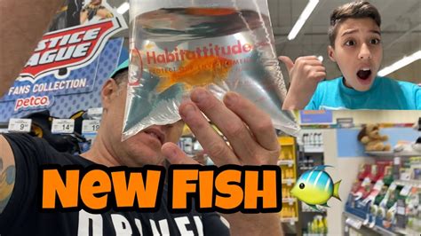 Buying New Fish At Petco 🐠🐟 Vlog Youtube