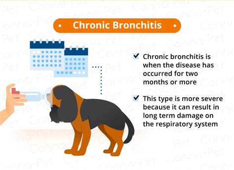 Bronchitis in Dogs: Causes, Signs, & Treatments | Canna-Pet