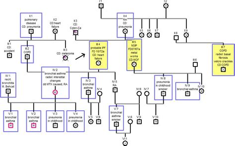 Pedigree Chart Two Generations I Vi With 39 Members Index Patient