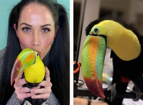 Pet toucan takes over California woman's life | Toronto Sun