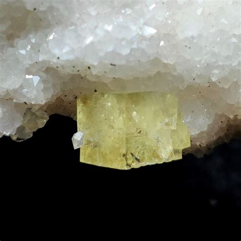 QUARZO IALINO Su FLUORITE GIALLA Cubica Su Cristalli Di Catawiki