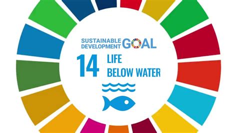 Sdg 14 Life Below Water Sustainable Development Goals