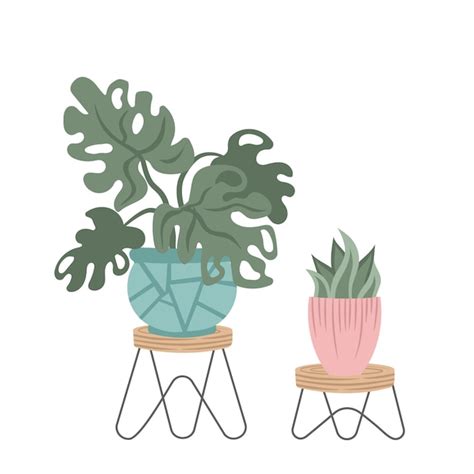 Premium Vector Hand Drawn Indoor House Plant Collection Pots And Shelves