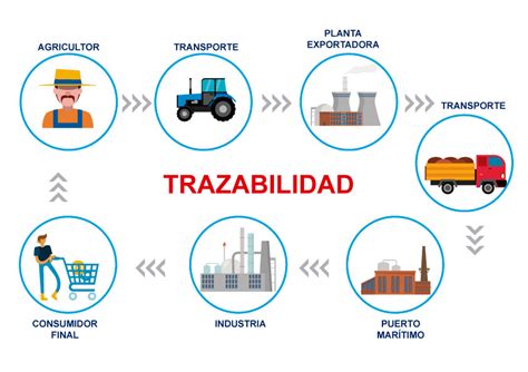 ¿qué Es La Trazabilidad Y Transparencia En Blockchain It Datum Sac