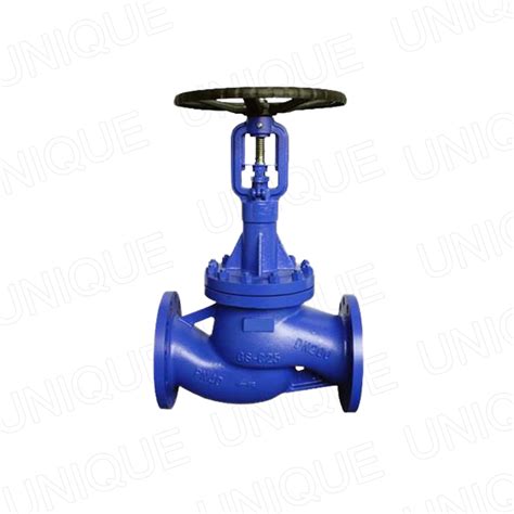 Oem Bellow Seal Globe Valve Manufacturer And Supplier Product Unique