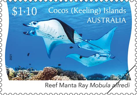 Cocos Keeling Islands Reef Manta Ray Australia Post