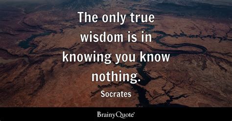 Socrates - The only true wisdom is in knowing you know...