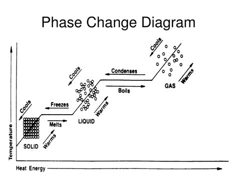 Label The Following Phase Change Diagram Phase Changes Of Ma