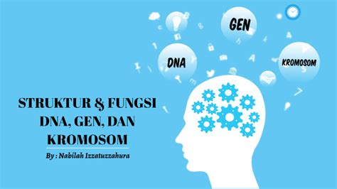 Struktur And Fungsi Gen Dna Dan Kromosom By Nabilah Izzatuzzahura On Prezi