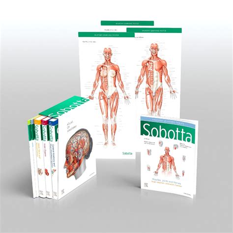 Sobotta Atlas Of Anatomy Package Th Ed English Latin Edition