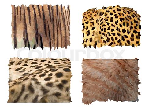 feline animals fur patterns | Stock vector | Colourbox