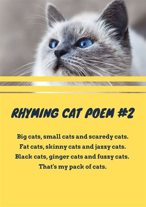 16+ Cat Poems For Kids To Read 🐈 | Imagine Forest