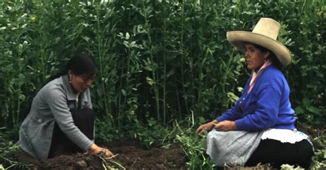 Netflix El Documental Peruano Hija De La Laguna Se Estrena En El