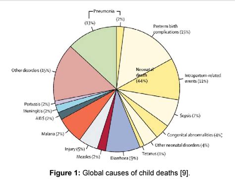 Epidemiology Of Respiratory Syncytial Virus Lower Respiratory Tract