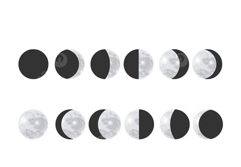 Moon Phases PNG, Vector, PSD, and Clipart With Transparent Background ...