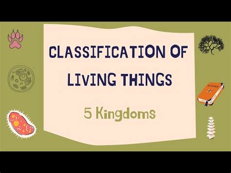 Classification Of Living Things 5 Kingdoms