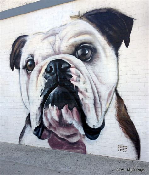 urban artist  dog lover graham hoete aka    painted  dogs