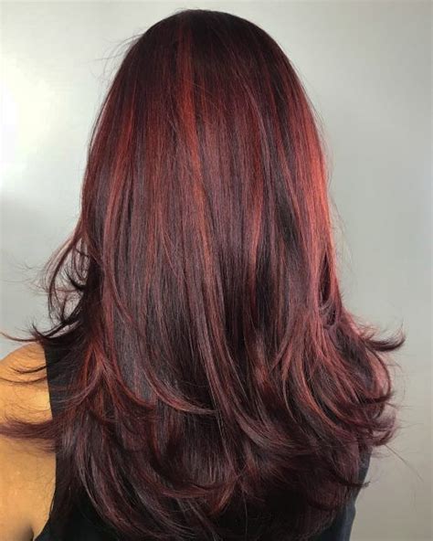 Dark Brown Hair With Light Red Highlights | Light brown hair, Red highlights in brown hair, Hair ...