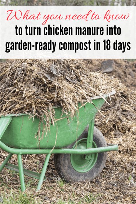 Greensmix Chicken Manure Compost The Perfect Addition To Your Garden