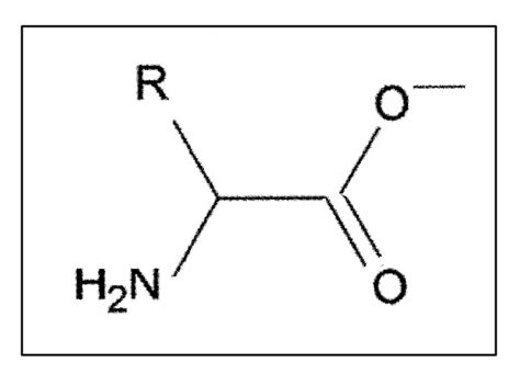 Silk Chemical Structure