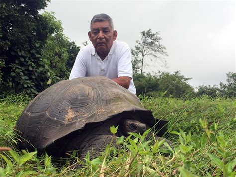 New Species Of Galapagos Tortoise Found On Santa Cruz Island Smithsonian